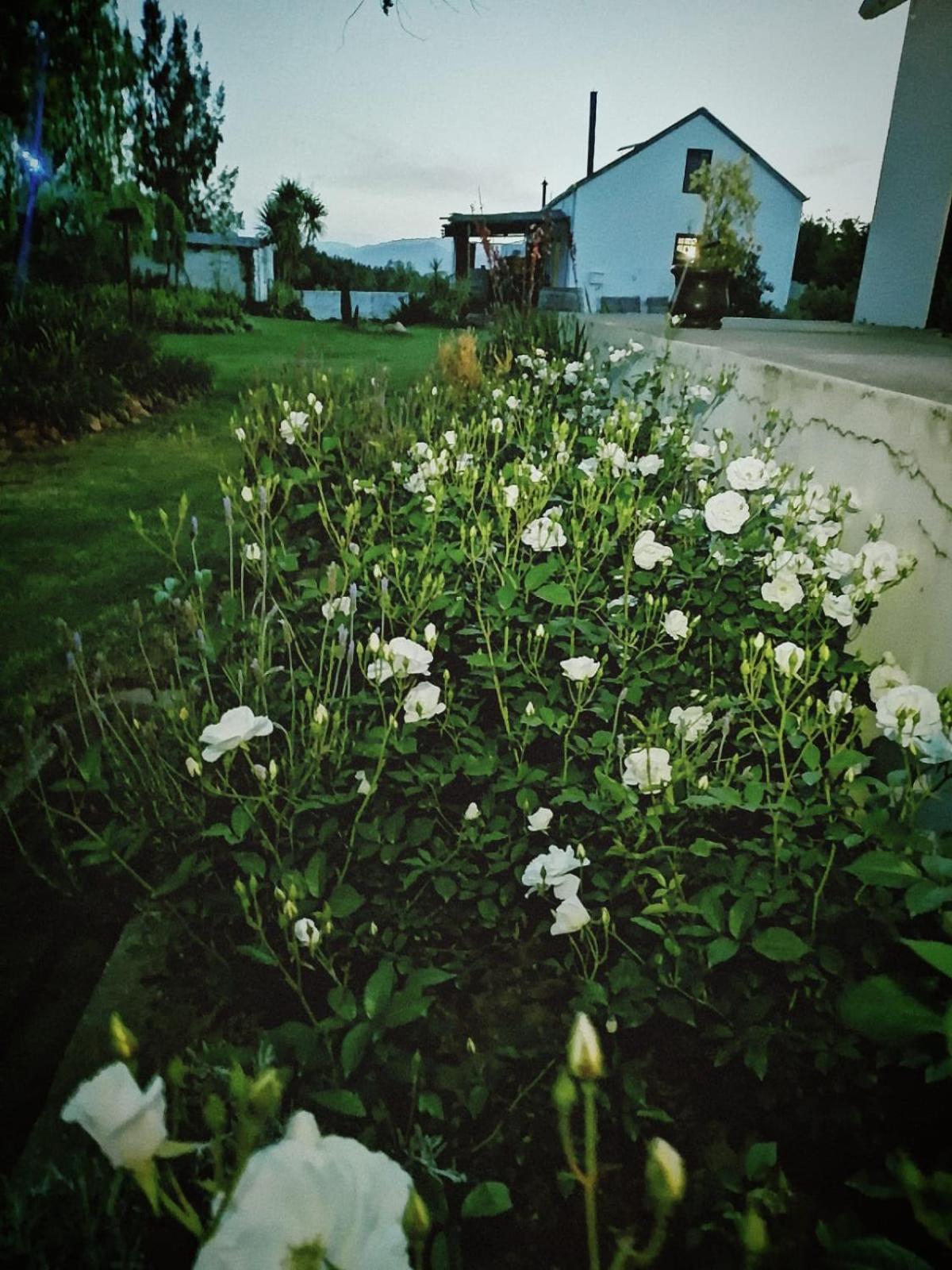 Klipfontein Rustic Farm & Camping Tulbagh Exterior foto
